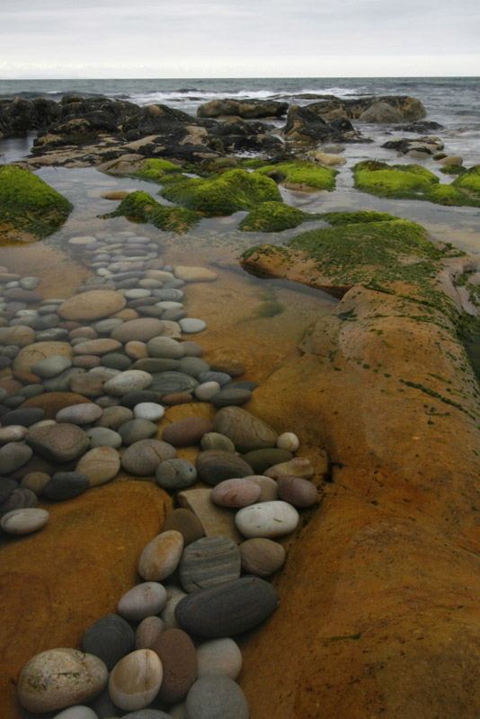 Pebble Cove 5