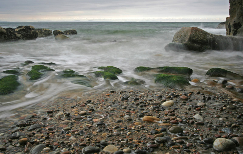 Pebble Cove Moray