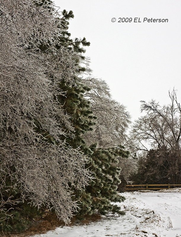 Mother nature has been working overtime the last couple of days.