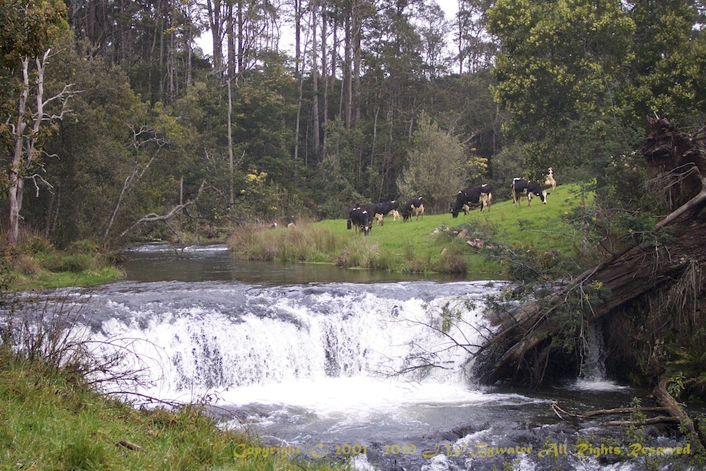 Guide Falls, Tasmania