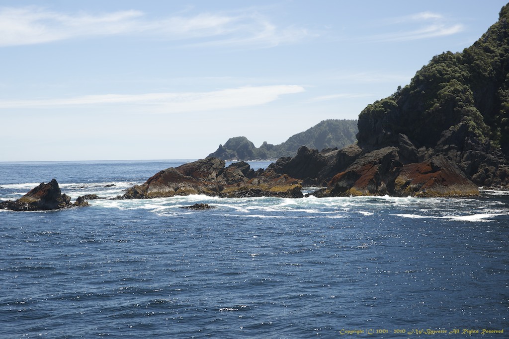The Tasman Sea.jpg