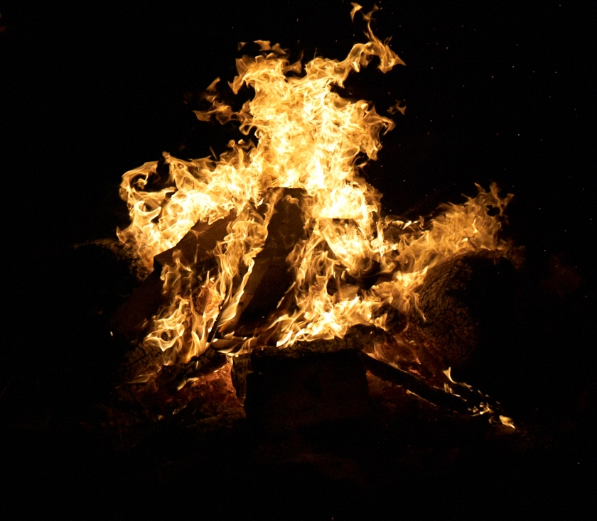 L4004839.jpg