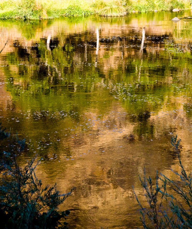 <B>River Reflection</B> <BR><FONT SIZE=2>Klamath River, California - September, 2008</FONT>