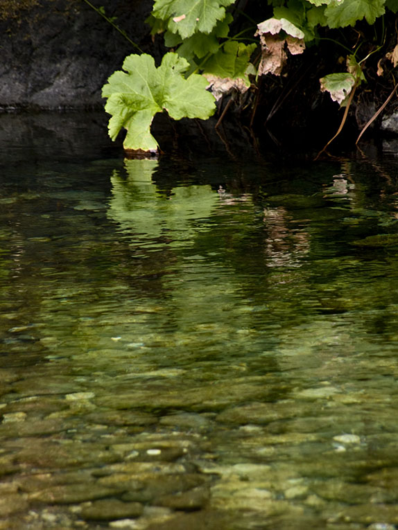 <B>Lingering </B> <BR><FONT SIZE=2>Trinity River, August, 2007</FONT>