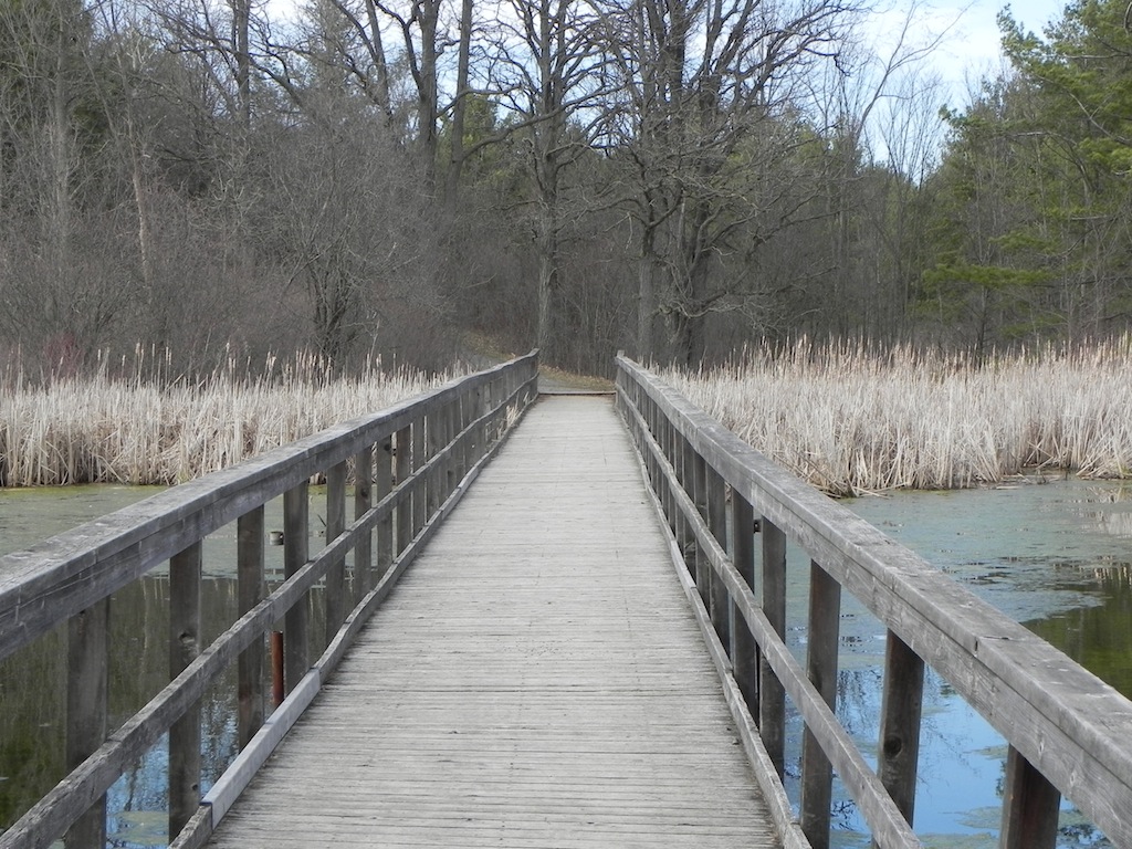 DSCN8373.JPG