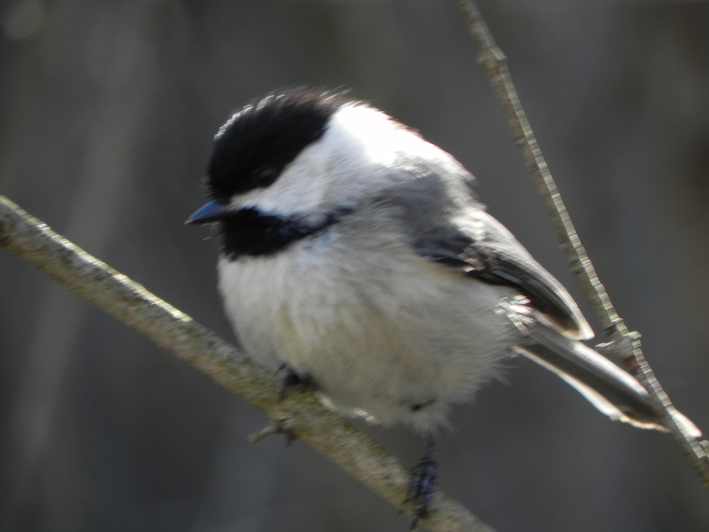 DSCN8401.JPG