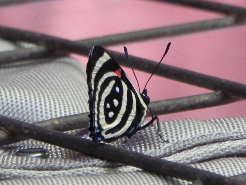 2A_DSCN9869.JPG