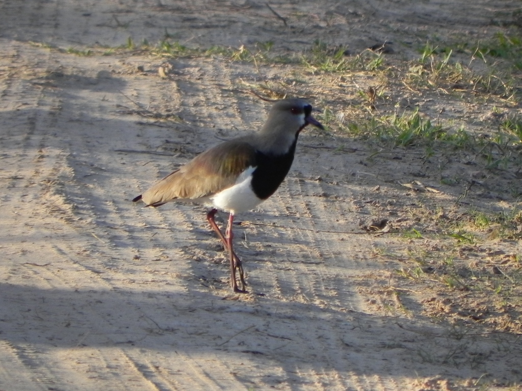 4A_DSCN0103.JPG