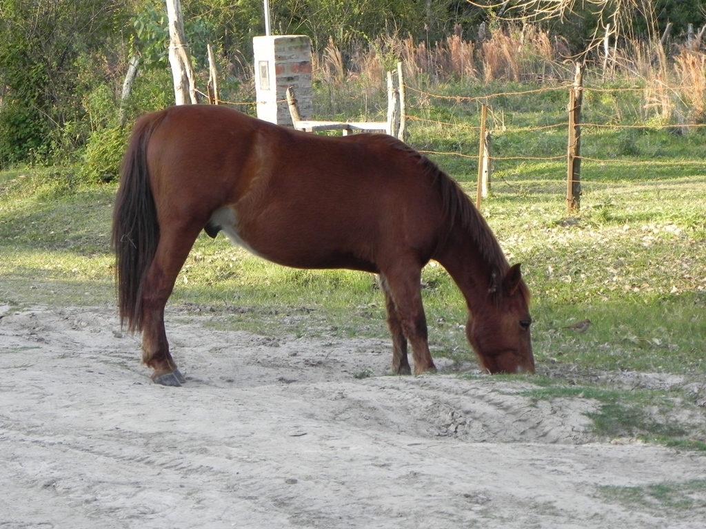 4A_DSCN0116.JPG
