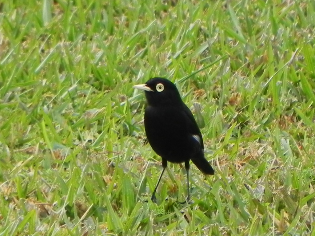4C_DSCN0334.JPG