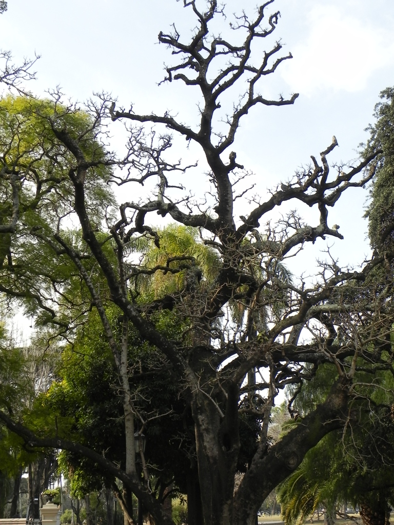 5I_DSCN0482.JPG