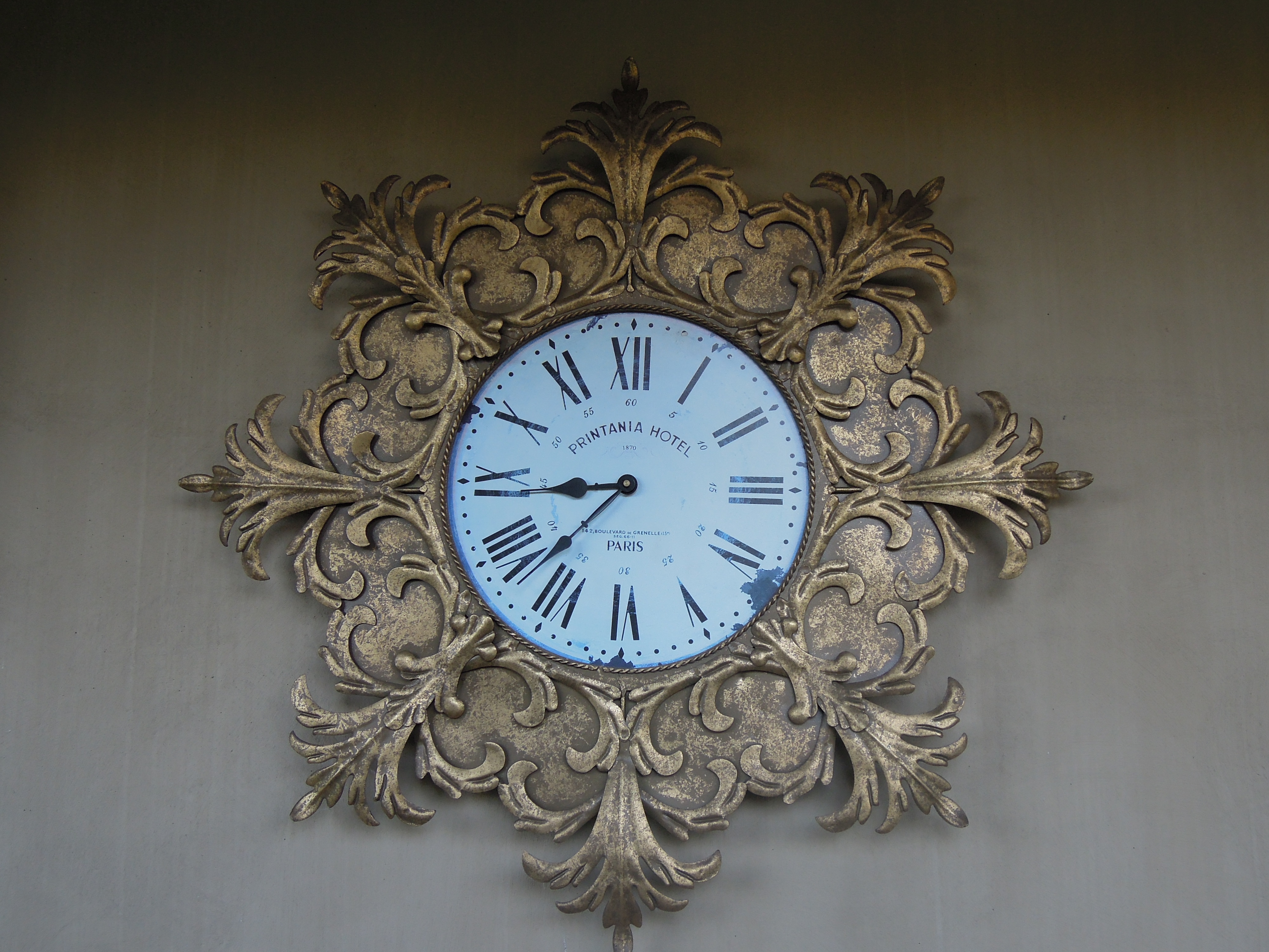 DSCN1567.JPG