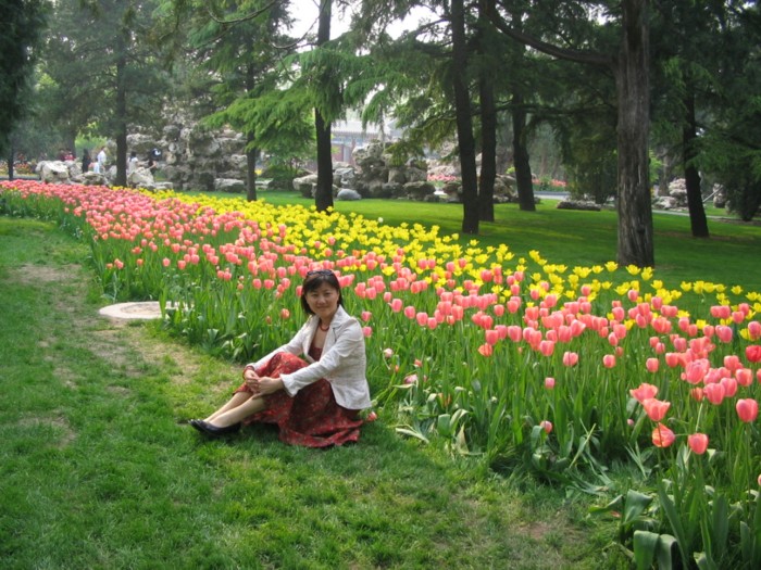 pinkyellowtulip.JPG