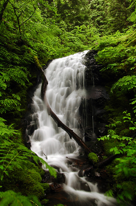 Upper Munra Creek Waterfall #4, Study 5