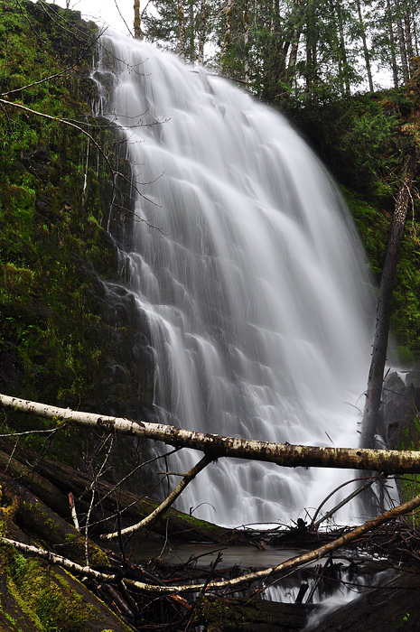 University Falls, Study 2010-1