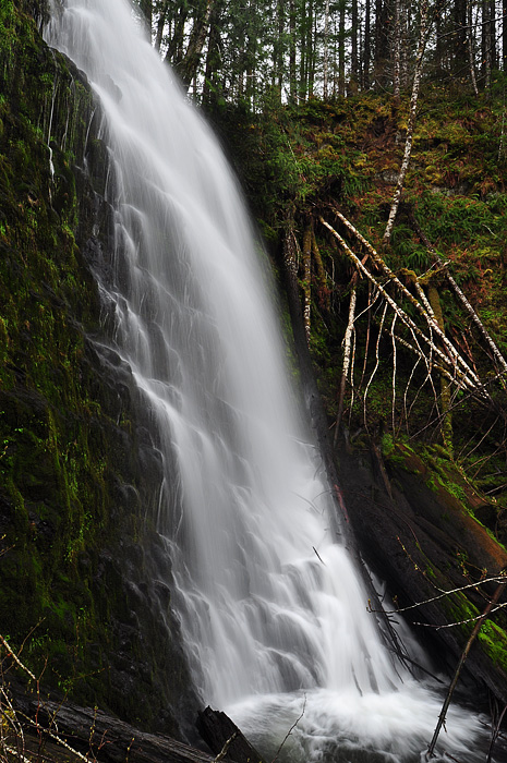 University Falls, Study 2010-2