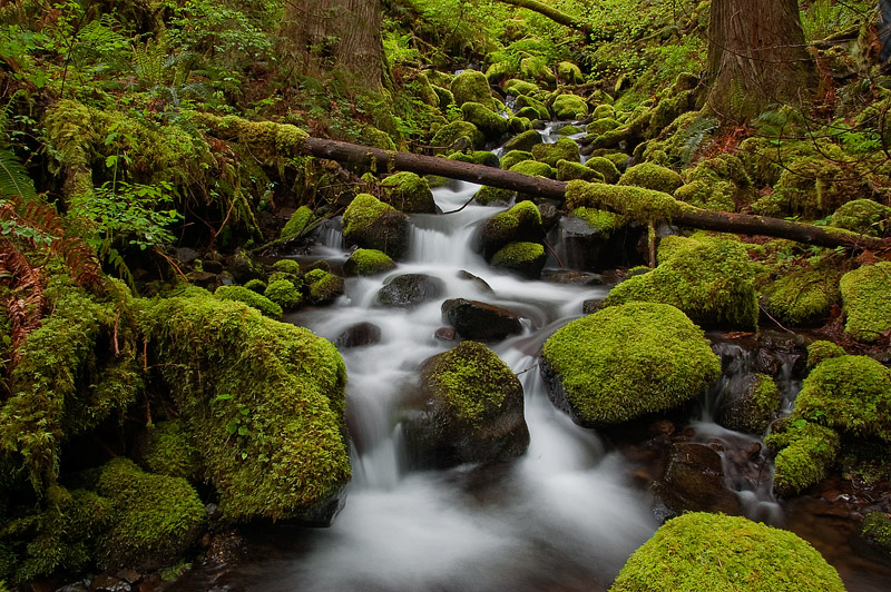 Sorenson Creek