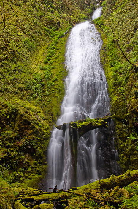 Sorenson Falls, Study 2