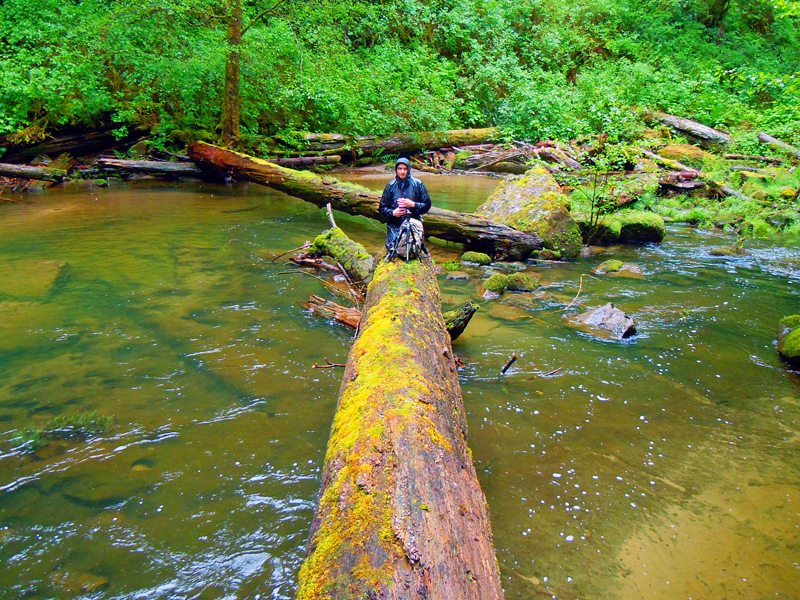 On The Log