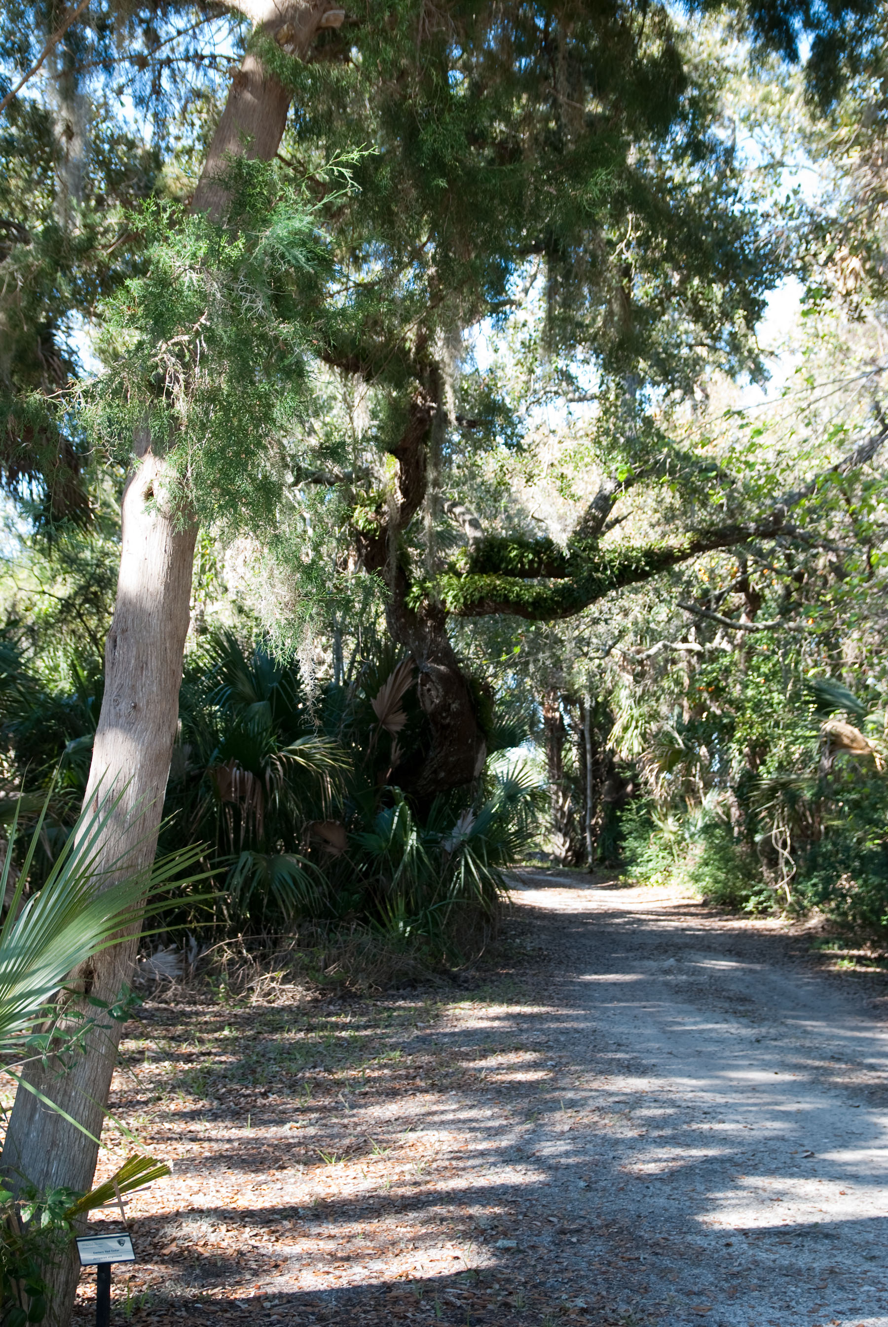 Canaveral Shore