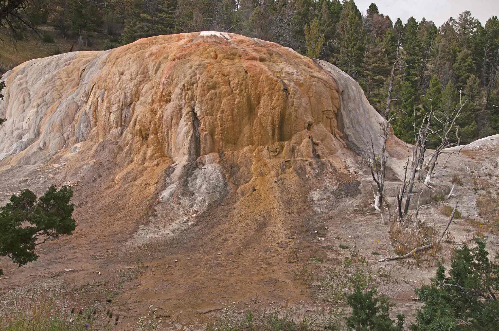 Orange Spring Mound