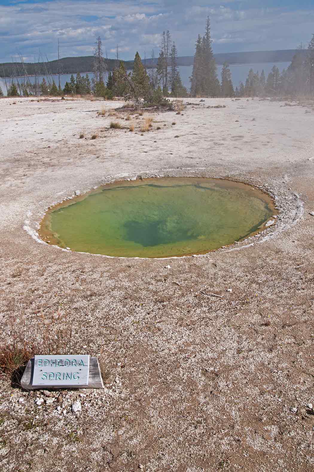 Ephydra Spring - West Thumb Geyser Basin, YNP