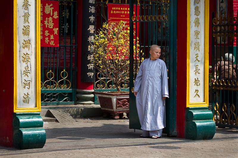 Chinese New Year (1)