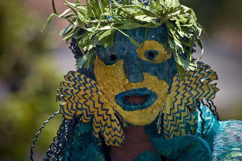 Summer Soltice Parade (2008)