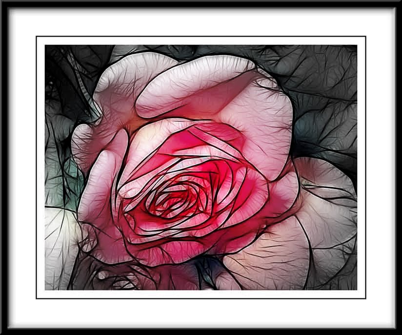only a rose...