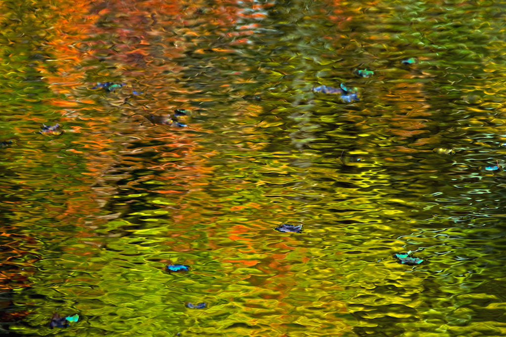 Autumns reflections