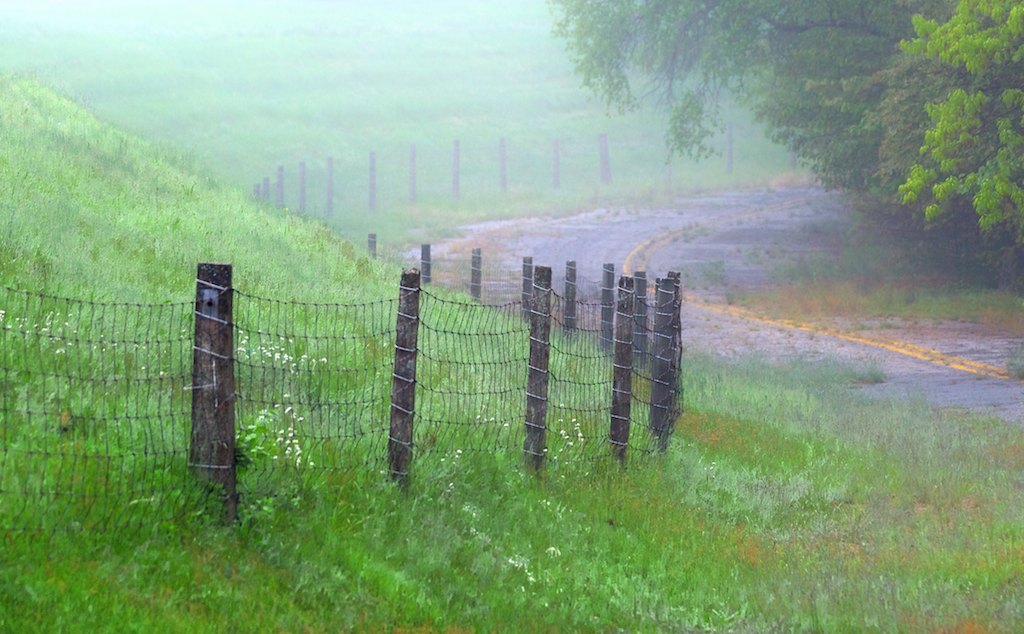 Walking an old country rd.