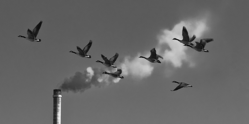 SONY DSC