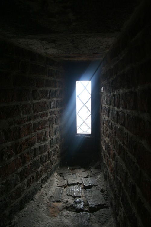 Window