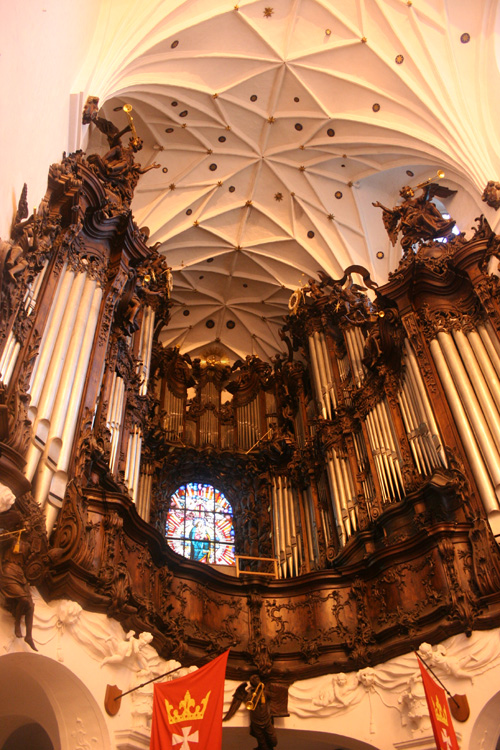 Organs