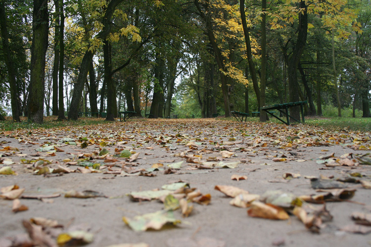 6th October 2007 - Boulevard in park