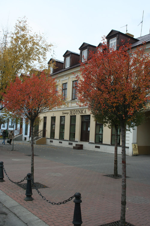 20th October - Autumn at Main Square