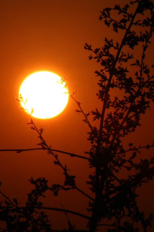 24th April 2008 - Hold the sun