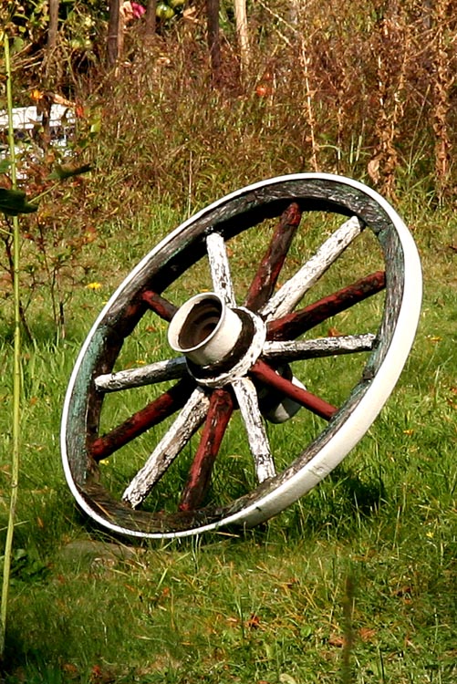 Wood circle