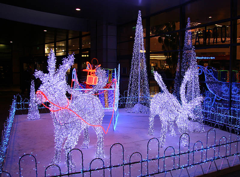 Reindeer pulls sleds with gifts