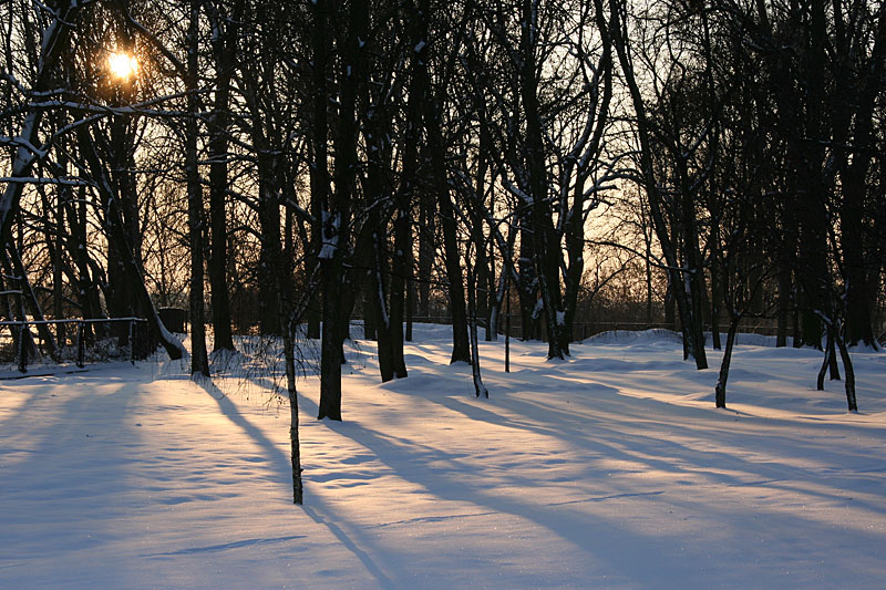Winter landscape