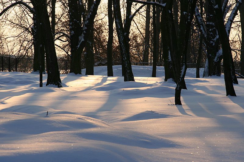 Winter light