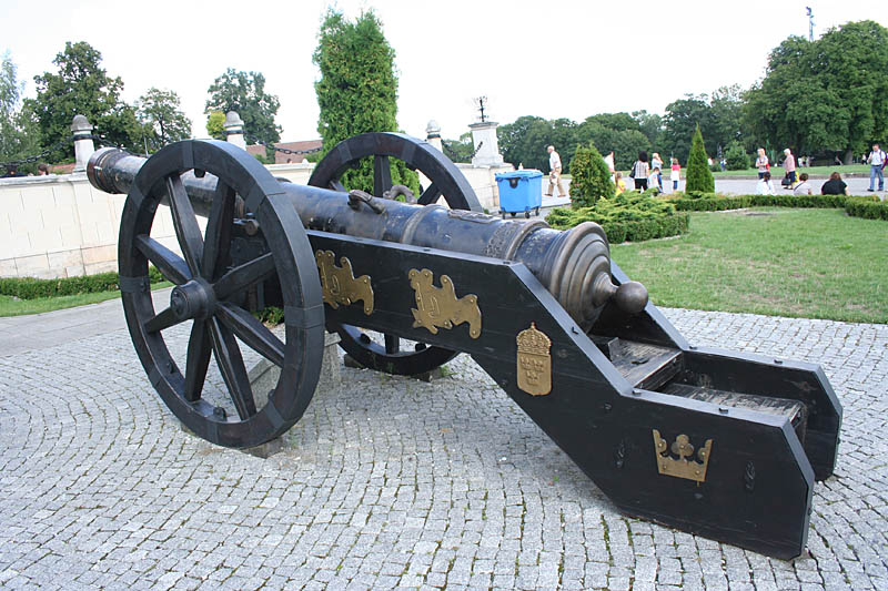 Gun