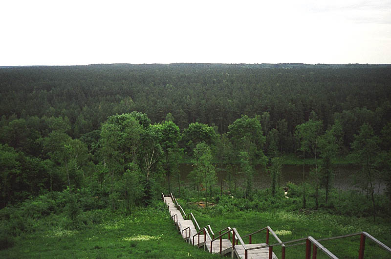 The Valley of Neris River