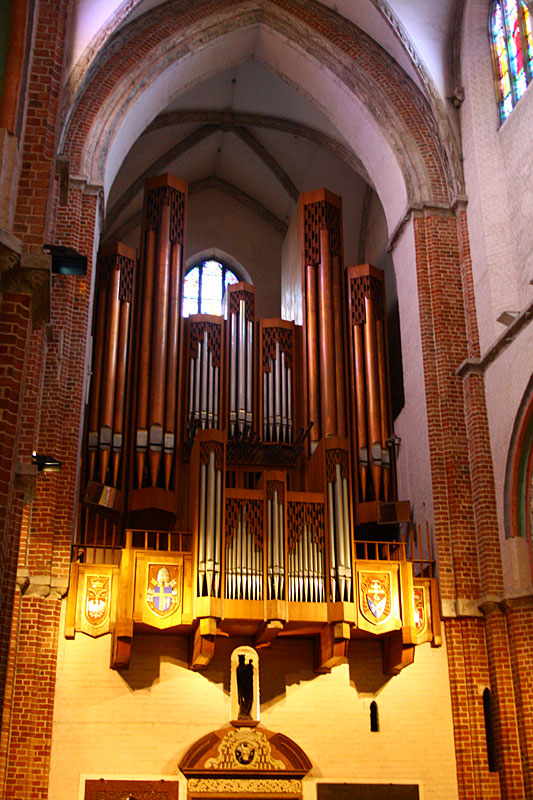 Organs