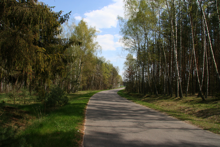 Road