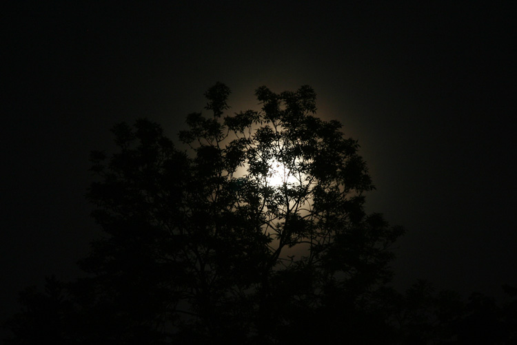 Moon