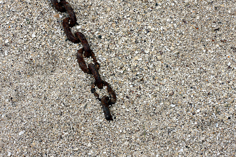 MISSING LINK