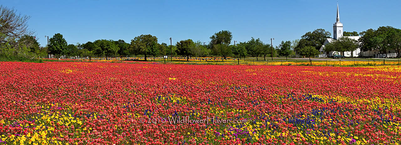 Paintbrush Church Panorama