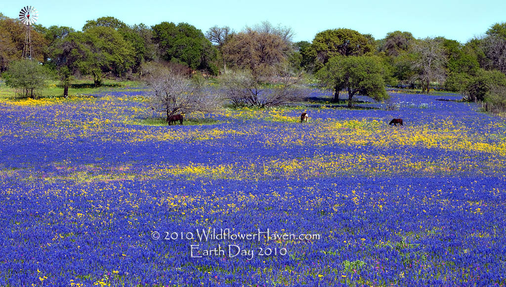 Earth Day 2010