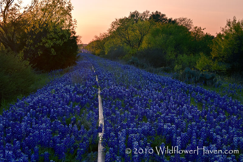 Setting Sun Railroad